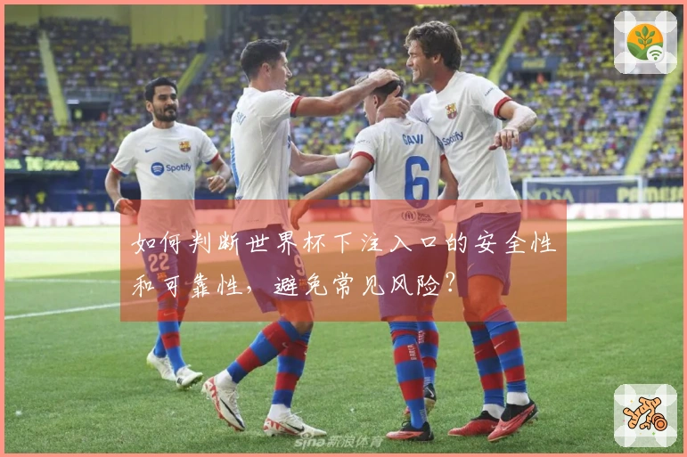 如何判断世界杯下注入口的安全性和可靠性，避免常见风险？