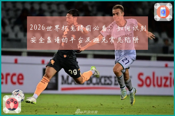 2026世界杯竞猜前必看：如何识别安全靠谱的平台及避免常见陷阱