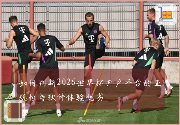 如何判断2026世界杯开户平台的正规性与软件体验优劣