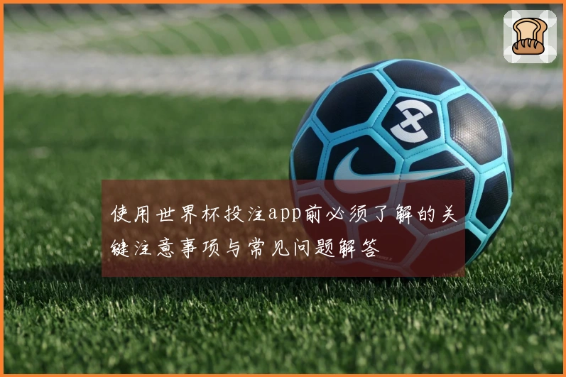 使用世界杯投注app前必须了解的关键注意事项与常见问题解答