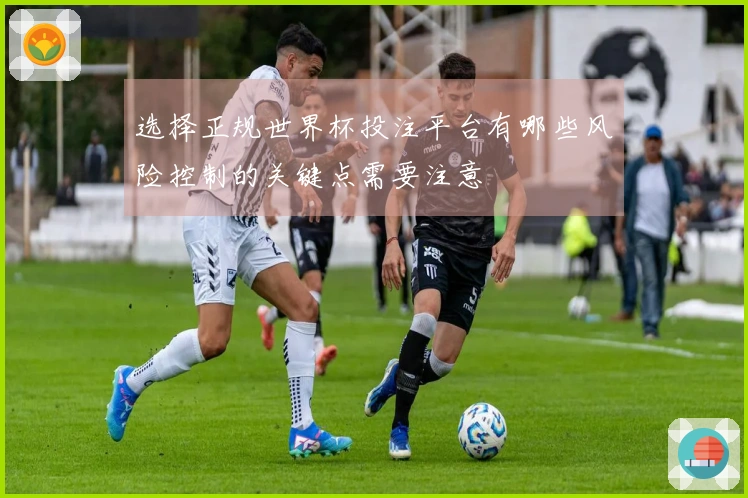 选择正规世界杯投注平台有哪些风险控制的关键点需要注意