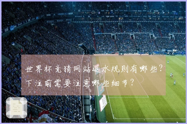 世界杯竞猜网站返水规则有哪些？下注前需要注意哪些细节？